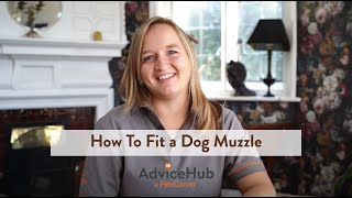 How To Fit a Dog Muzzle [upl. by Janina]