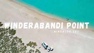 Insane Fishing amp Beachfront Camping At Winderabandi  Ningaloo Ep 2 [upl. by Cross]