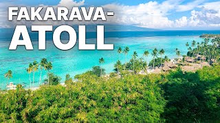 Das FakaravaAtoll in Polynesien  TIERDOKU [upl. by Savinirs512]