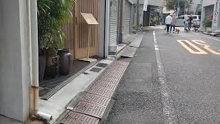 Walking in Yomise Street Yanaka Taito City Tokyo Japan [upl. by Alexio]