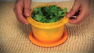 Tupperware One Touch Bowl [upl. by Sirraj]