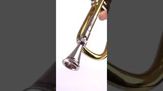 Add a French horn vibe to your trumpet🎺 trumpet kgumusic frenchhorn [upl. by Erskine]