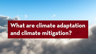 Understanding Climate Action What are climate mitigation and adaptation [upl. by Ibbison]