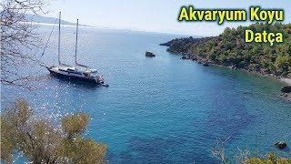 Aquarium Bay │Datça  Turkey [upl. by Prowel]