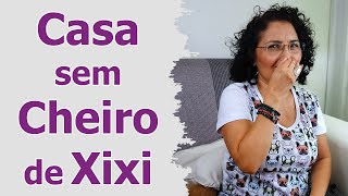 Como Tirar Cheiro de Xixi de Cachorro da Casa  Organizar Cão [upl. by Lissi355]