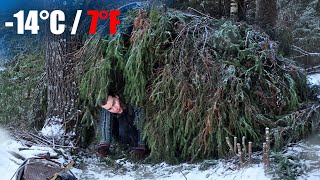 I Found This Shelter in a 14°C WINTER FOREST❄️ Camping in Freezing Finland NordicVentures [upl. by Mei347]