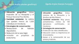 EDUCACION AMBIENTAL [upl. by Atirhs]