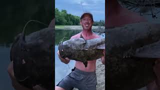 Flathead Fishing  Catfish on Small River fishing catfishing [upl. by Ahsinor]