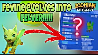 FEVINE TO FELVER EVOLUTION ON LOOMIAN LEGACY  ROBLOX [upl. by Wenoa420]