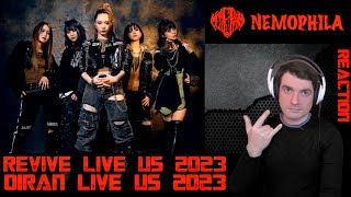 Nemophila  Revive And Oiran Live U S Tour 2023 Reaction [upl. by Naus259]