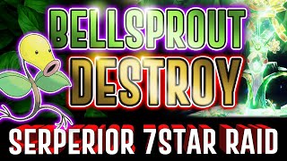 Bellsprout ONE SHOT Serperior 7 star raid  Pokemon Scarlet Violet Serpiroyal Tera Raid Knofensa [upl. by Retla]