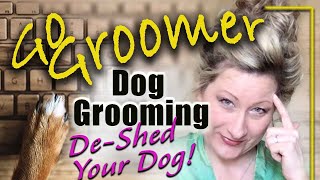 Dog GroomingDeshed your dog [upl. by Paradies644]