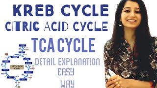 Kreb Cycle in detail Easiest Explanation Plant Physiology Biochemistry Respiration [upl. by Ahsinned919]