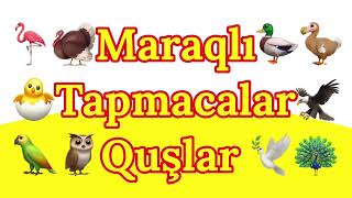 Tap tapmaca 9cu hissə  Tapmacalar Quşlara aid tapmacalar [upl. by Fitalludba]