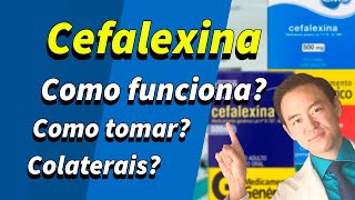 cefalexina como funciona [upl. by Llemmart]