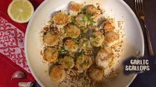 Garlic Scallops [upl. by Sirraf332]