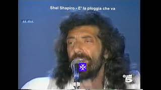 Shel Shapiro  E la pioggia che va [upl. by Ginevra648]