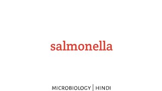 Salmonella  microbiology lecture in Hindi [upl. by Dempstor]