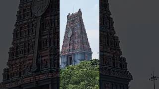 Tiruttani Subramanya Swami Thirukkovil murugan subramanianswamy shorts trending viralvideo [upl. by Krebs]