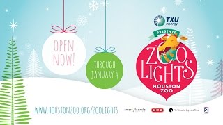 TXU Energy Presents Zoo Lights  2014 [upl. by Viviene]