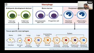 How to Approach Granulomatous lesions  All you need to know about granulomas  Lecture with Cases [upl. by Derick]