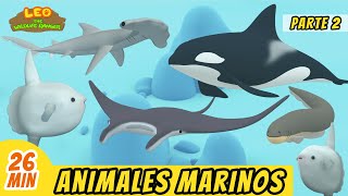 Animales Marinos Episodio Compilación Parte 22 Español  Leo El Explorador  Animación [upl. by Evot]