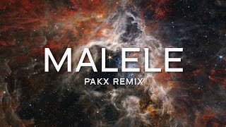 Liz  Malele Pakx Afrochill Remix [upl. by Alrrats]