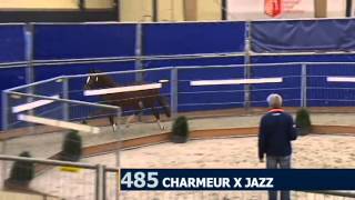 Generaal by Charmeur x Jazz x Contango [upl. by Tadio631]