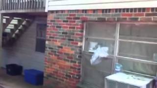 4 Plex For Sale  69000  Investment Property  Birmingham AL [upl. by Assille]