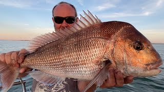 Awesome Snapper fishing in Westernport Primetime November Reds [upl. by Trofmoc]