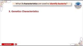 Genetic Characteristics  identify bacteria bacteriology microbiology genetics [upl. by Ayr]