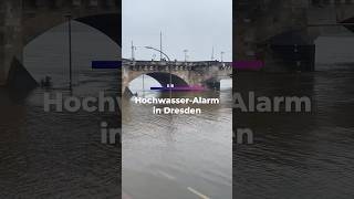 HOCHWASSERALARM in Dresden [upl. by Annavaig604]