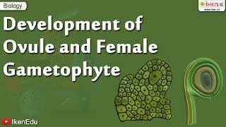 Biology Of Plants  Learn About Ovule and Gametophyte  iKen  iKen Edu  iKen App [upl. by Mecke]