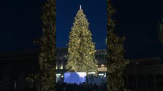 Accensione Albero di Natale 2023 in Piazza Duomo a Milano [upl. by Cram]