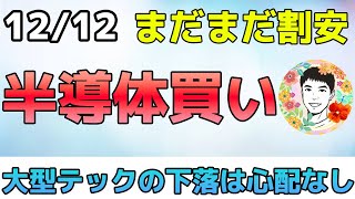 半導体への期待が高い！新高値更新で大口も強気で買いへ！【1212 米国株ニュース】 [upl. by Nnalatsyrc]