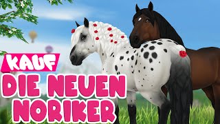 Die Noriker sind da 🐴 PFERDEKAUF 🐴 Star Stable Online [upl. by Ylloj]