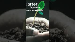 September planting calendar moon cycle Gardening organic Gardening [upl. by Assener]