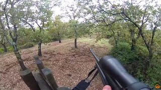 ATENCIÓN ⚠️ MONTERIA EN CACERES 🐗 JABALÍES y Reses💥🐗 Videos de Caza  INCREÍBLE [upl. by Airebma]