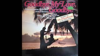 Ady Zehnpfennig  Goodbye My Love Goodbye  Instrumental  WersiOrgel [upl. by Mosenthal595]