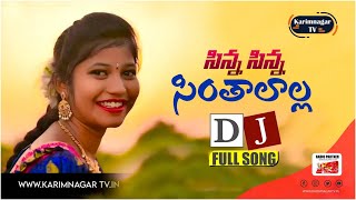 సిన్న సిన్న సింతాలల్లాSinna Sinna SinthalallaLatest Folk Dj Full SongKarimnagar Tv [upl. by Paley127]