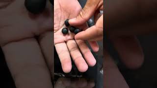 Sony MDREX155ap Unboxing 35mm earphones [upl. by Muller722]