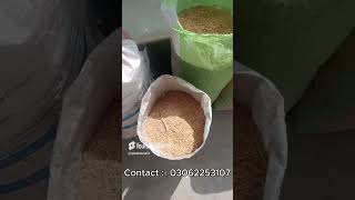 AJWA HOUSE RICE HUSK RICE HUSK ASH GARDENING AGRICULTURE FARMERS GARDENERS PRODUCT [upl. by Narba359]