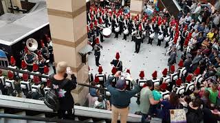 Escuela Militar de Chile en Alto las Condes Flashmob [upl. by Linders]