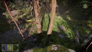 The Elder Scrolls VI  Valenwood Gameplay [upl. by Sadira]