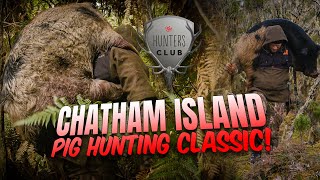 Chatham Island Pighunting Classic  Do Pigs Fly No they Swim [upl. by Yesnnyl]