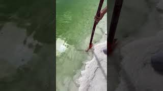 Natural crystallized lake salt mining process [upl. by Samella20]