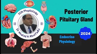 Posterior Pituitary Gland Physiology 102024 by Dr Khaled A Abulfadle [upl. by Dalston171]