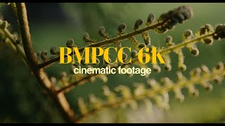 The BMPCC 6K is PERFECT for filming CINEMATIC footage BRAW 6K test footage [upl. by Enieledam]