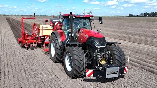 Aardappelen poten met Grimme GL 860 en Case IH 300 optum Loonbedrijf Sandee Onstwedde [upl. by Ardnuasak]