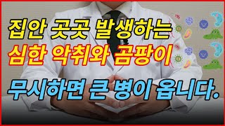 quot집안 곳곳 숨어있는 곰팡이 악취 100제거하는 방법quotㅣ건강을 망치는 집안 곰팡이 냄새 [upl. by Llezniuq175]